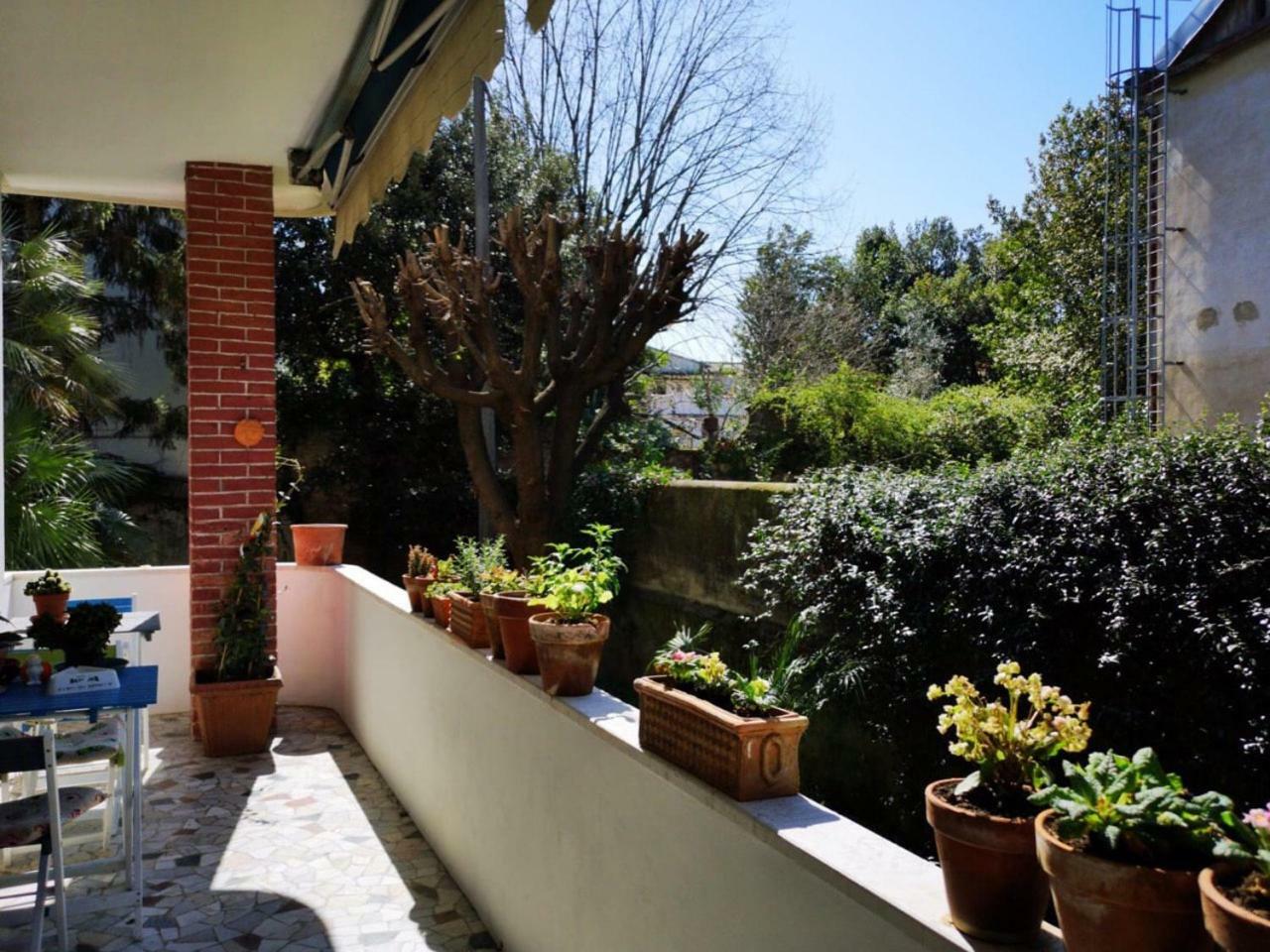Wanderlust Bnb Pisa Eksteriør bilde