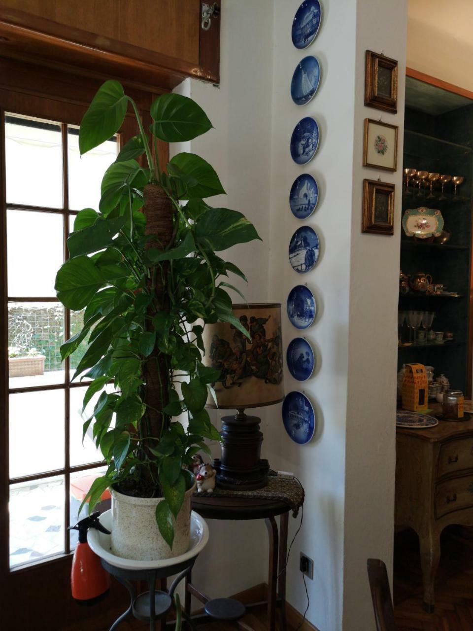 Wanderlust Bnb Pisa Eksteriør bilde